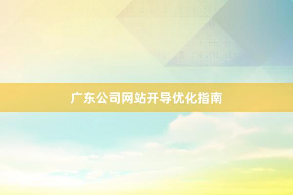 广东公司网站开导优化指南